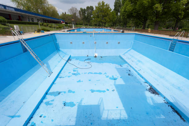 Best Water damage contractors near me  in Williston Park, NY