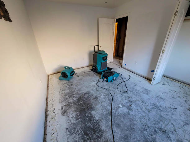 Best Emergency water damage restoration  in Williston Park, NY