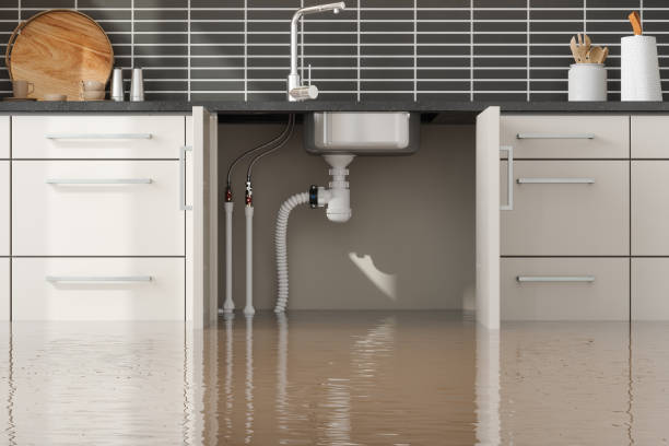 Best Sewage cleanup and water damage restoration  in Williston Park, NY