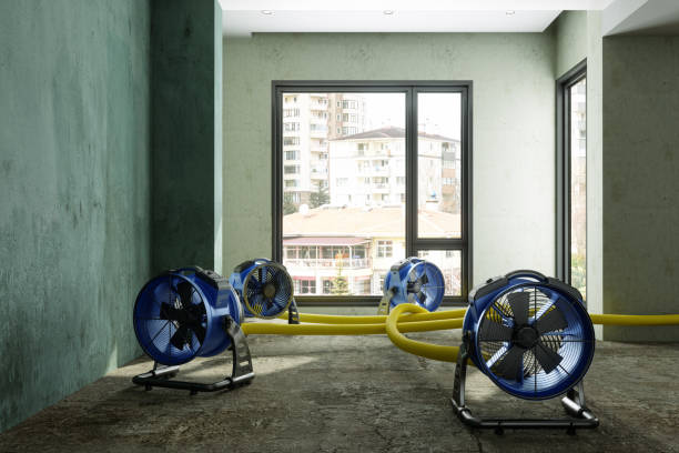 Best 24-hour water damage restoration  in Williston Park, NY